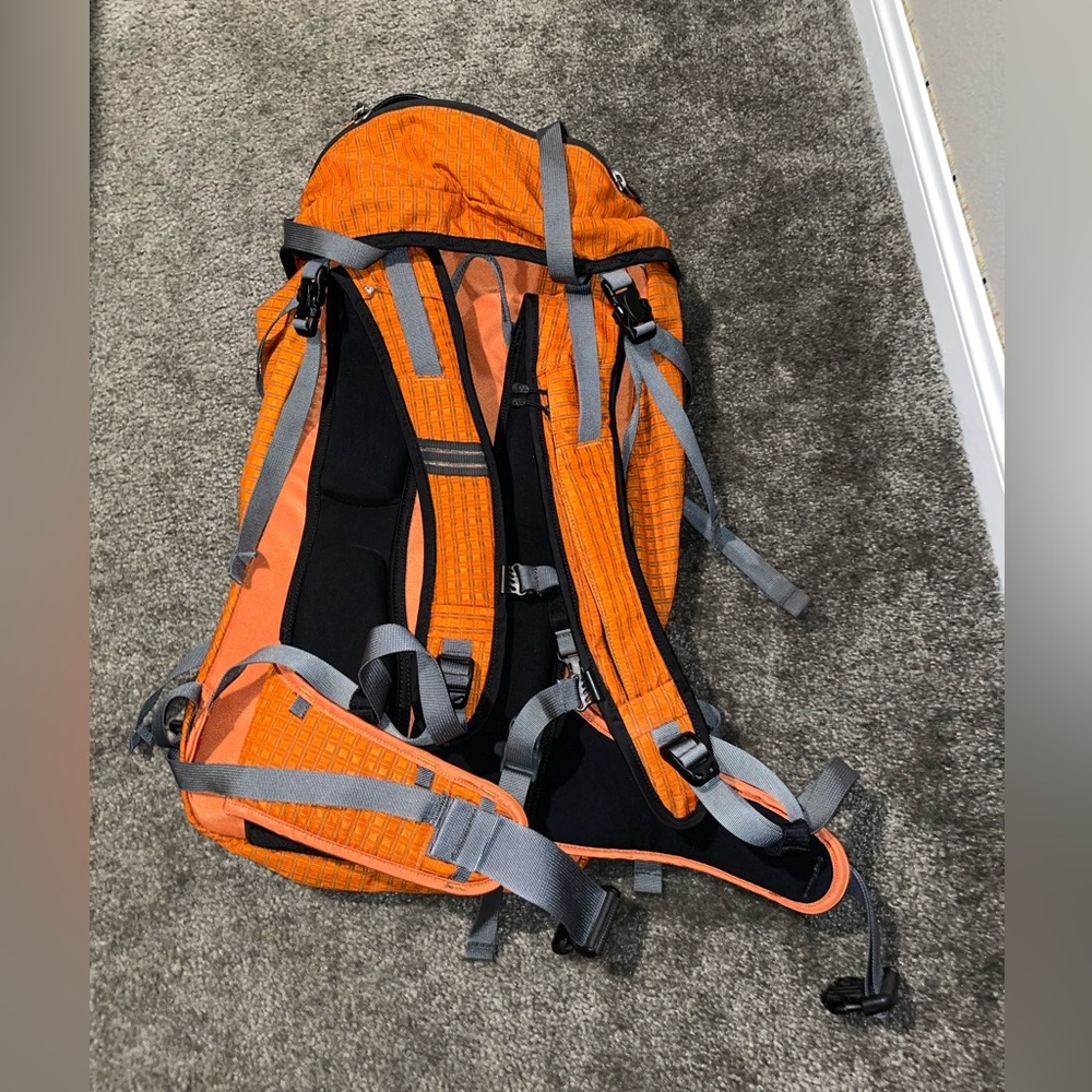 Patagonia Backpack - Picture 5 of 6